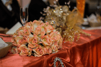 Backyard Party Rentals Los Angeles